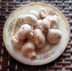 Clean plate of mushrooms